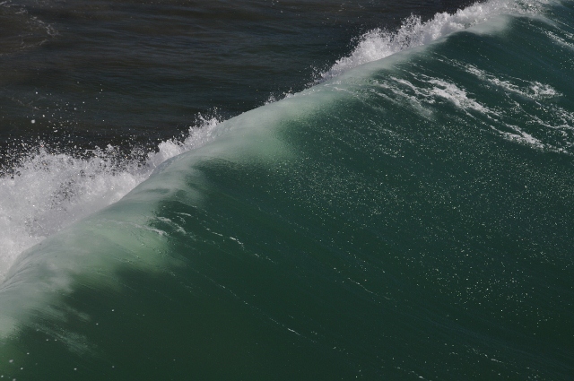 Cayucos beach